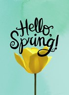 bloem hello spring
